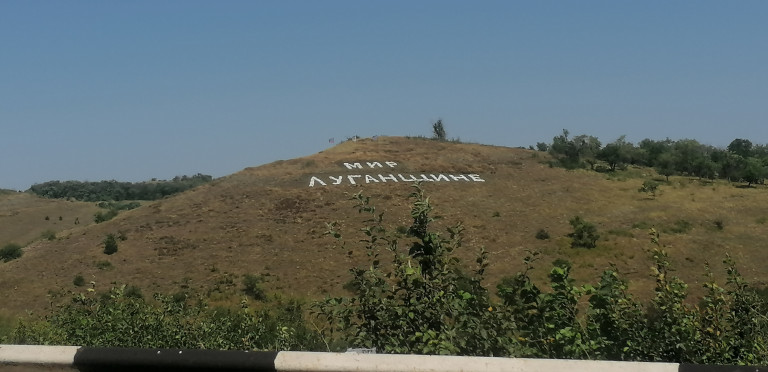 "Я увидел во дворе стрекозу "