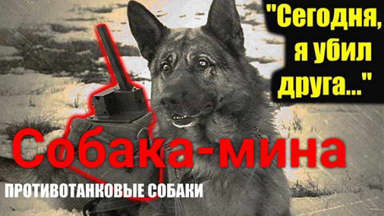 Собака - мина