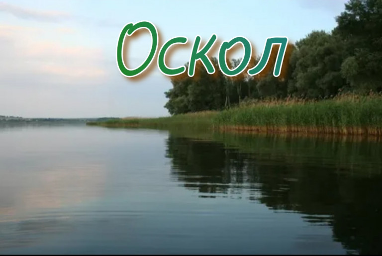 Оскол