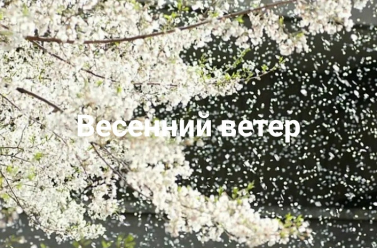 Ветер