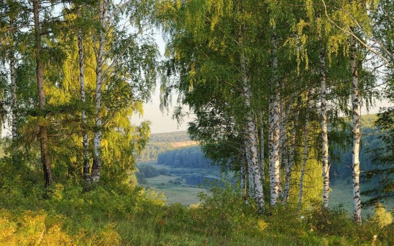 Вечный зовМузыка и исполнение Николай ЖуковСлова Марина Мальцева