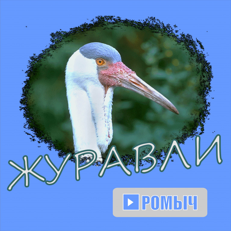 Журавли