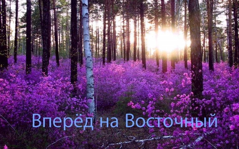 Вперёд на Восточный