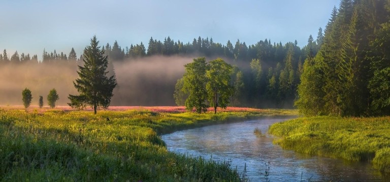 Вы прекрасны