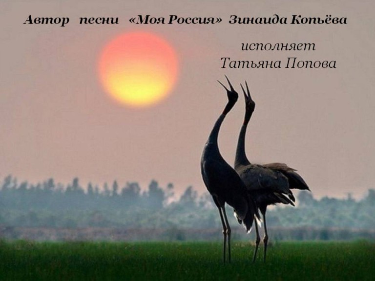 "Моя Россия"