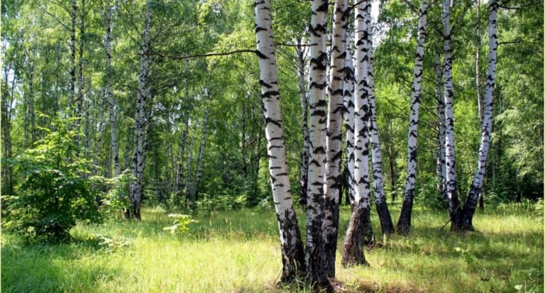 Велика Россия