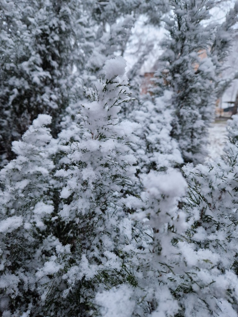 Новогодняя