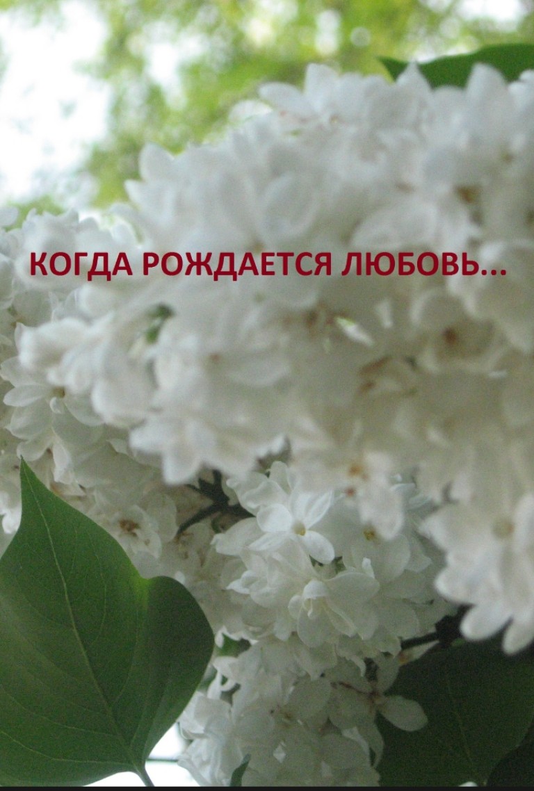 Оденьте женщину в любовь