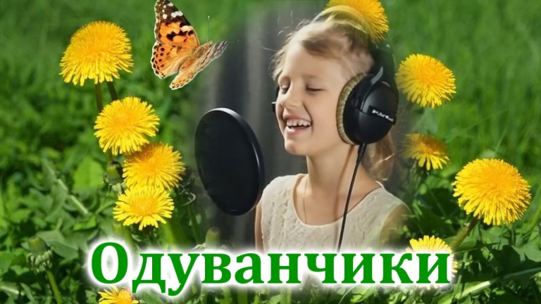Одуванчики.