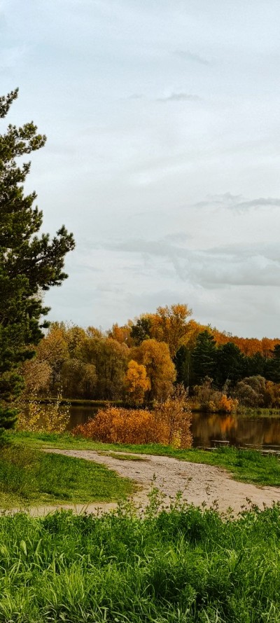 "Песня о далёкой Родине"