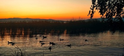 "Песня о далёкой Родине"