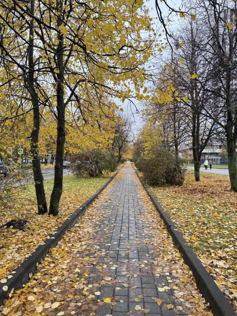 "Ой, грибы,грибочки"