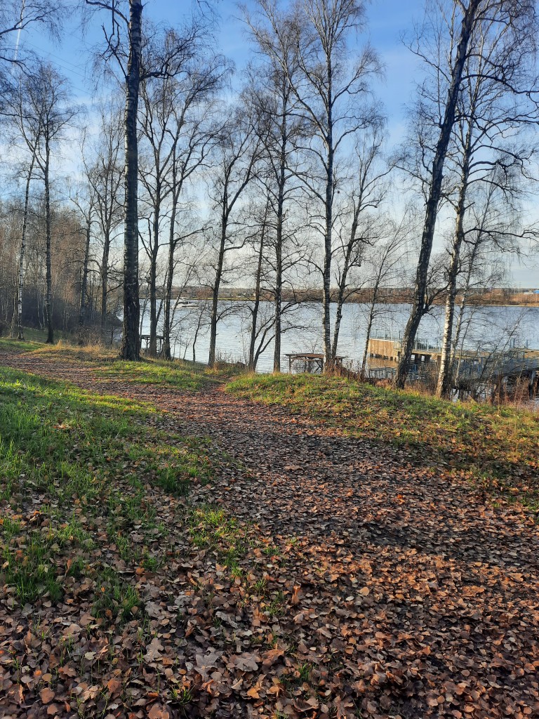 Заблудилось лето