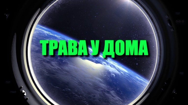 Трава у дома