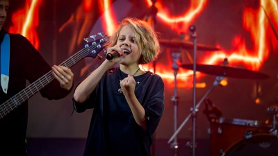 Металлический лес