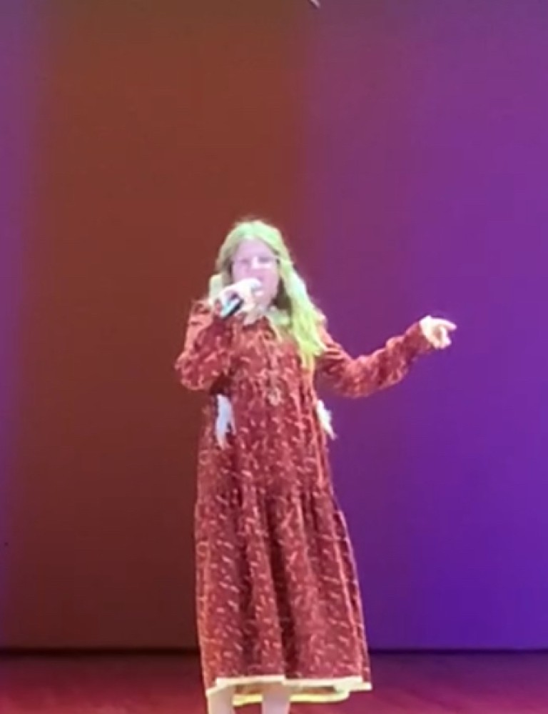 Летела гагара