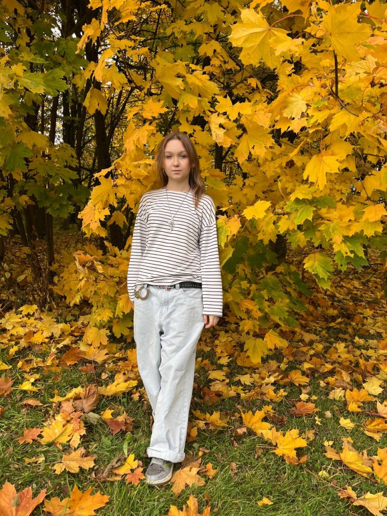 Львиное Сердце