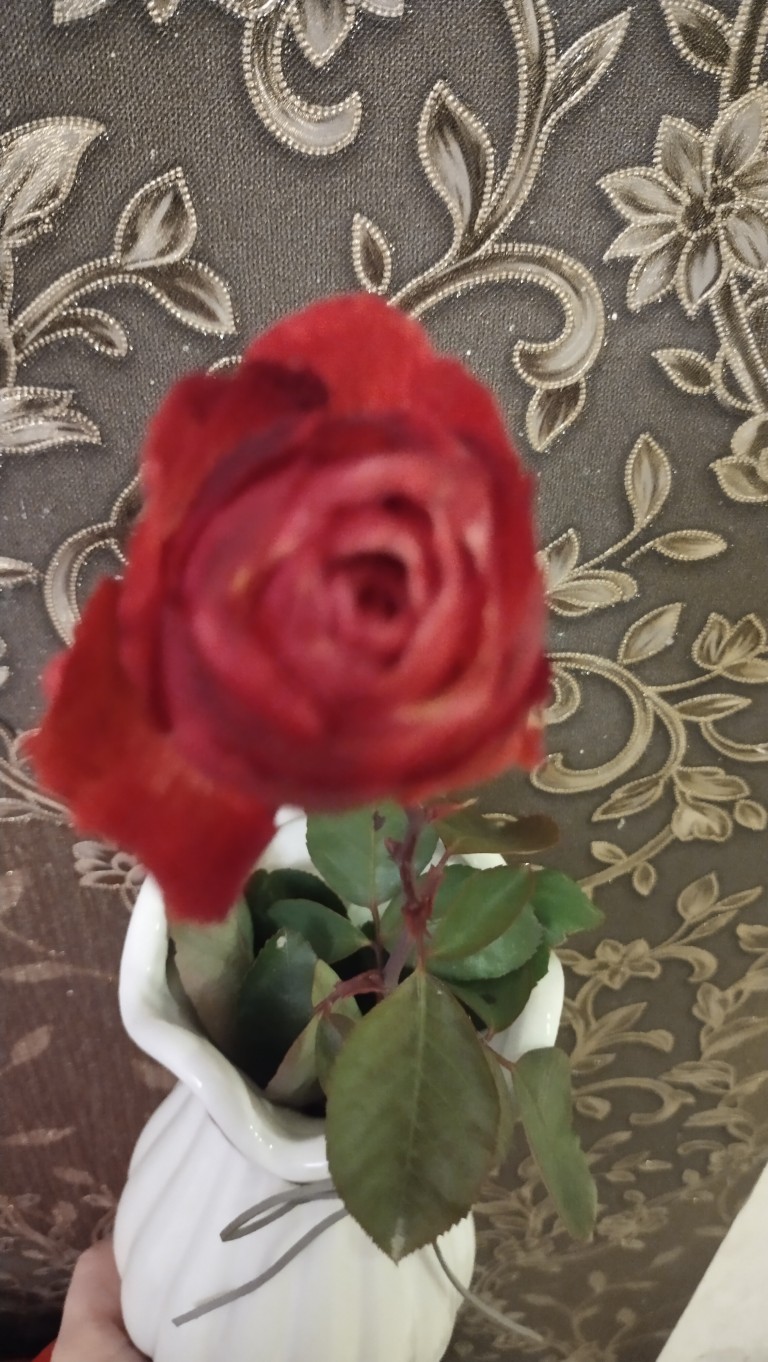 Волшебный цветок