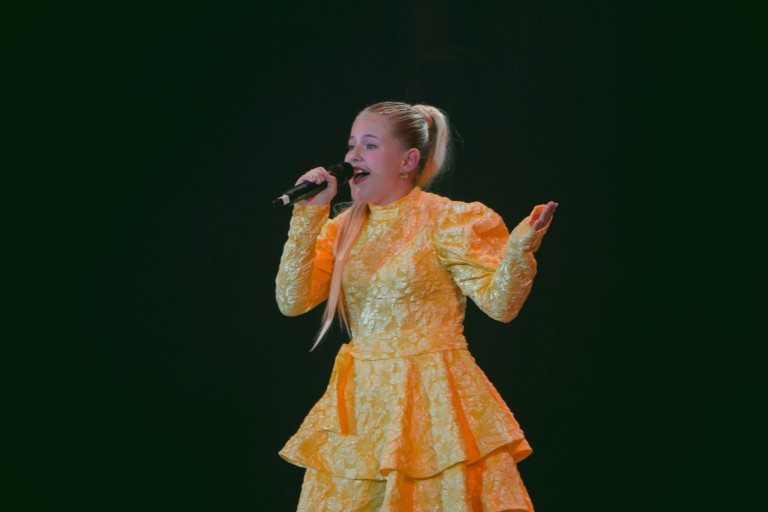 Конь вороной