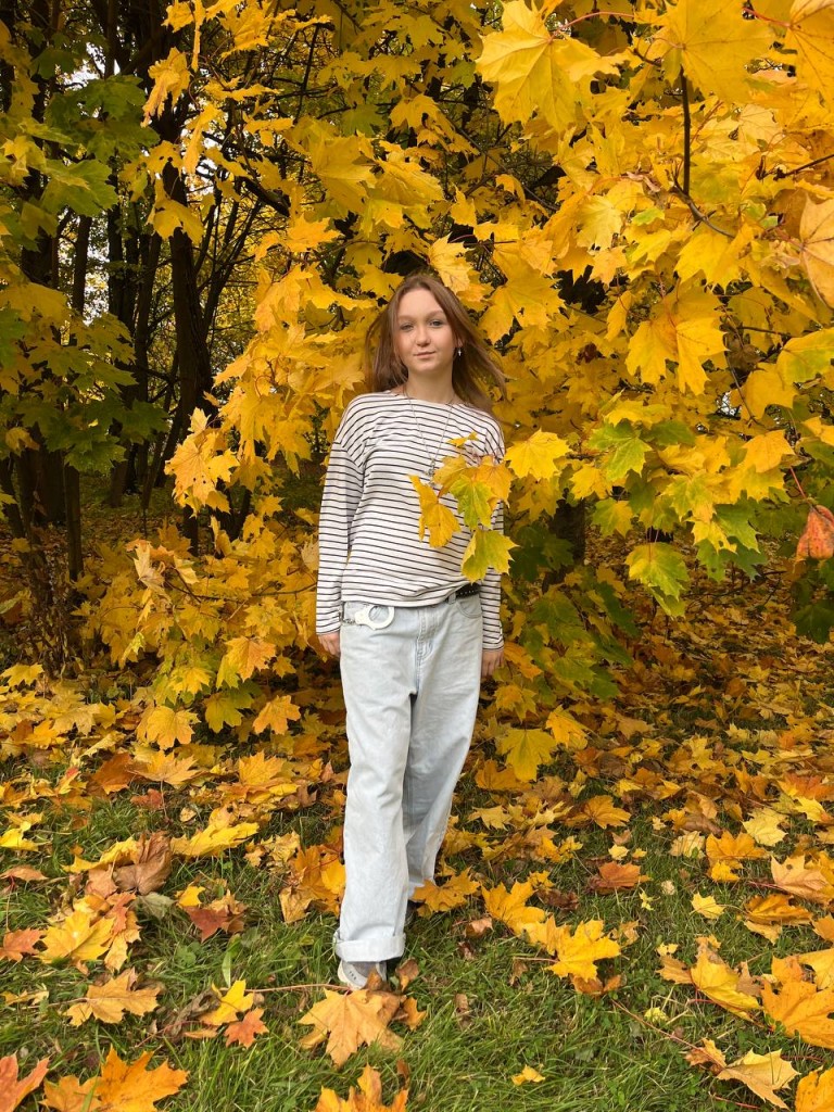 Львиное Сердце