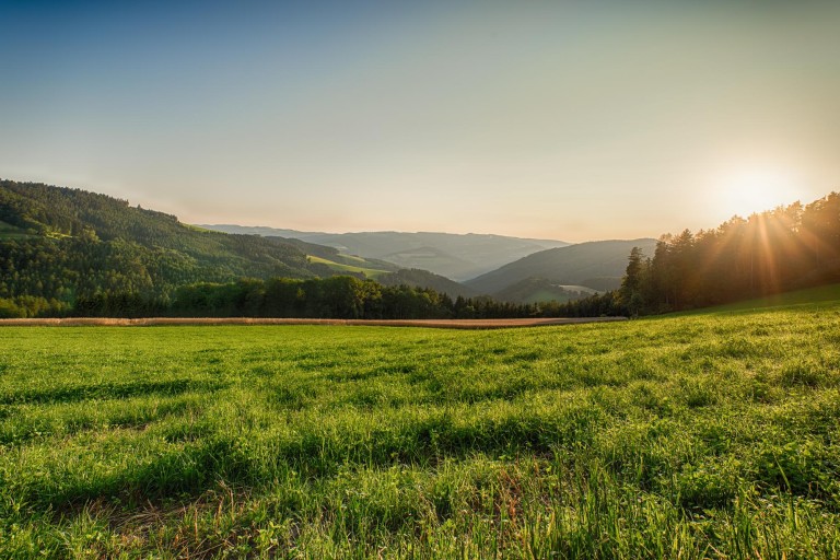 Родина - ты моя!