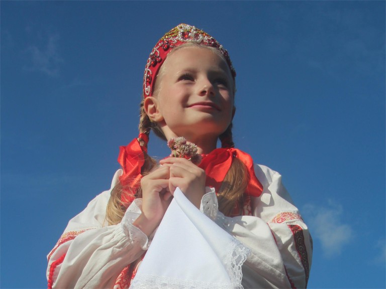 Гармонь моя