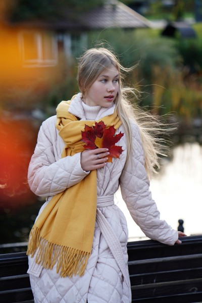 "Тысяча бабочек"