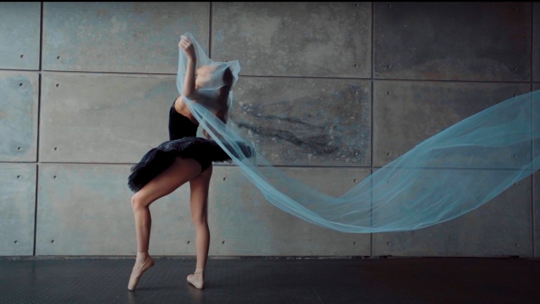 Небо на ветвях