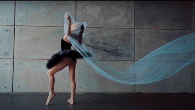 Небо на ветвях