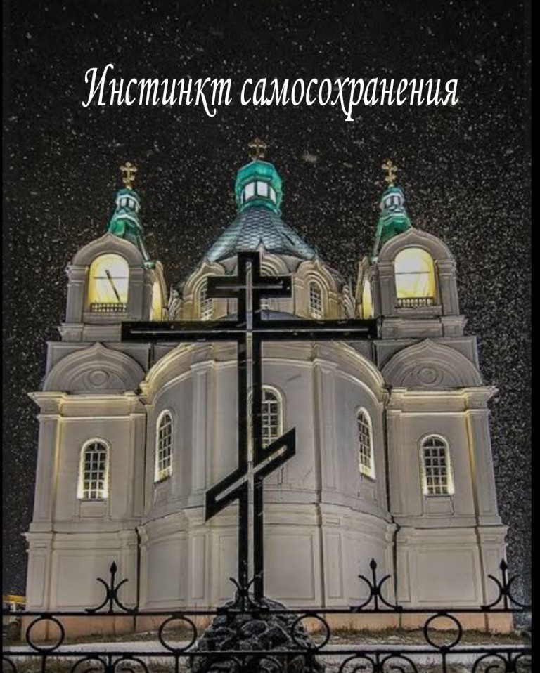 Инстинкт Самосохранения
