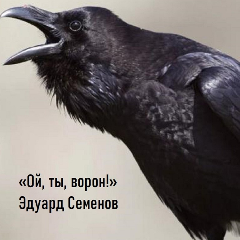 Ой, ты ворон!