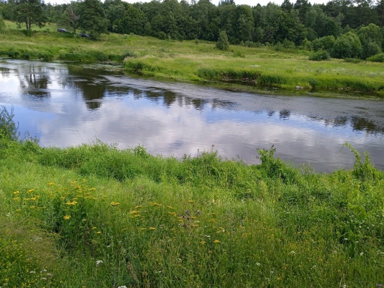 РУССКАЯ ЗЕМЛЯ