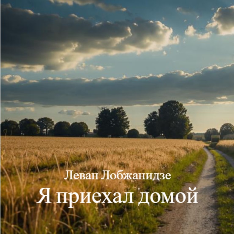 Я приехал домой