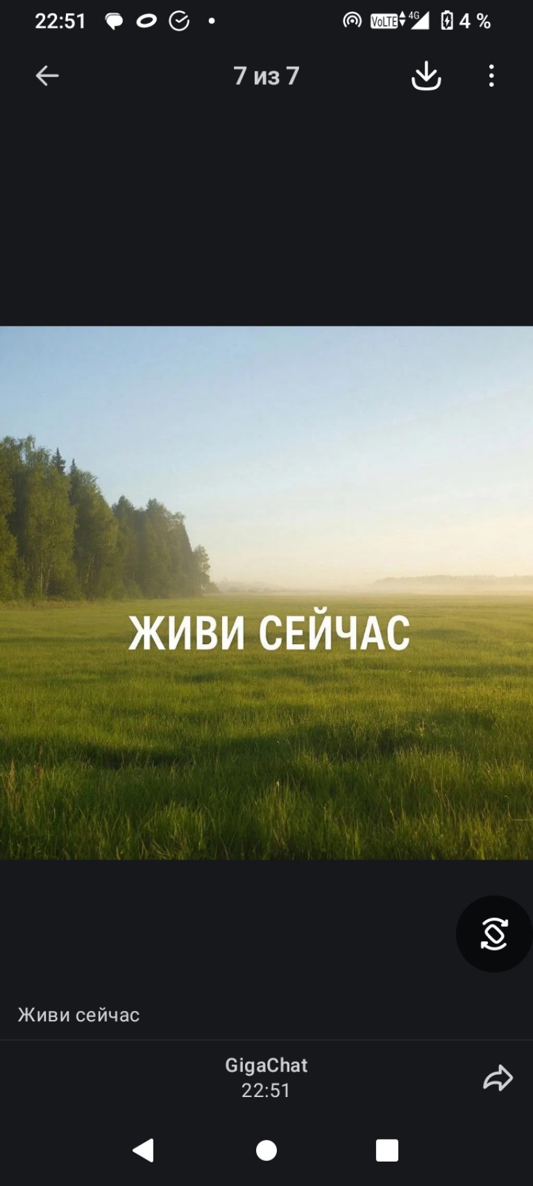 Живи сейчас