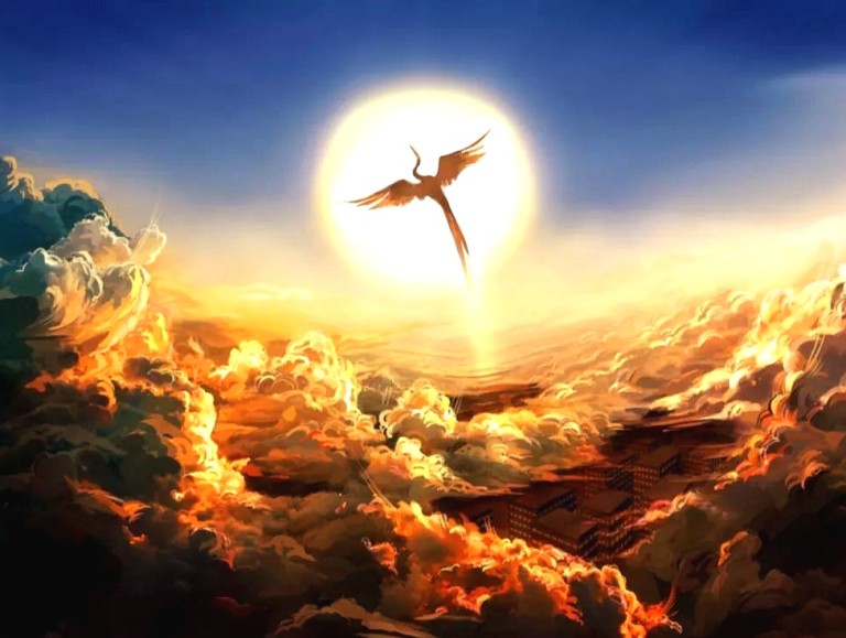 Л Е К С - П. М. Л.