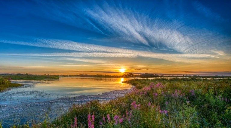 Рождалась мелодия просто