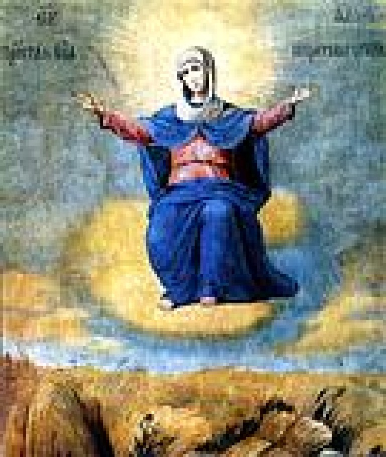 иду дорогою лесной