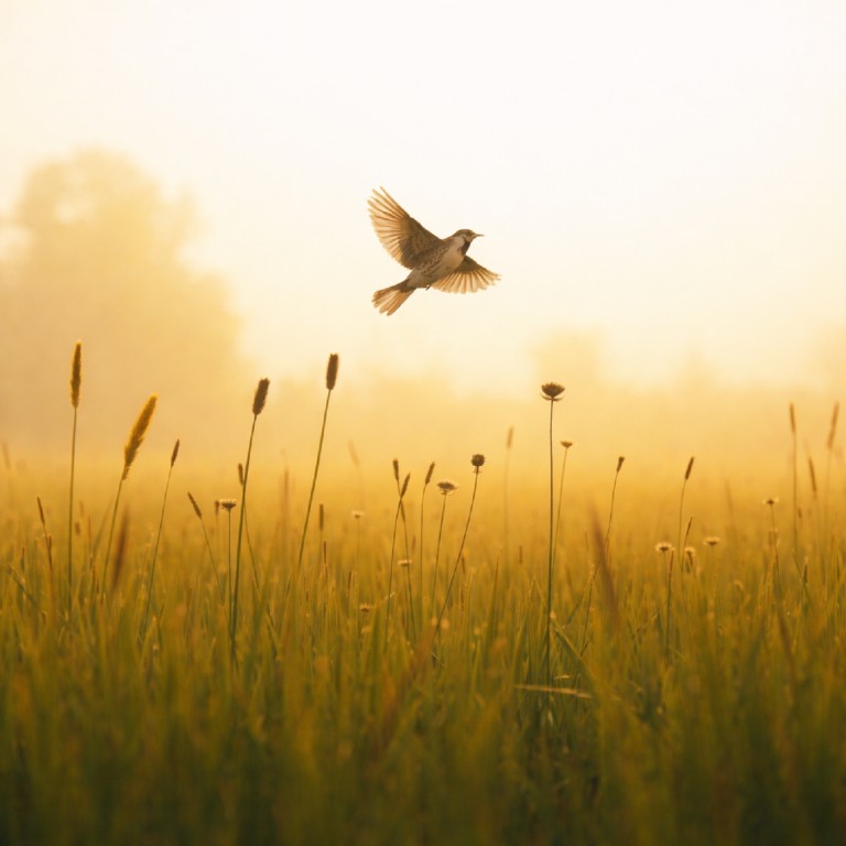 Пой, Русь моя