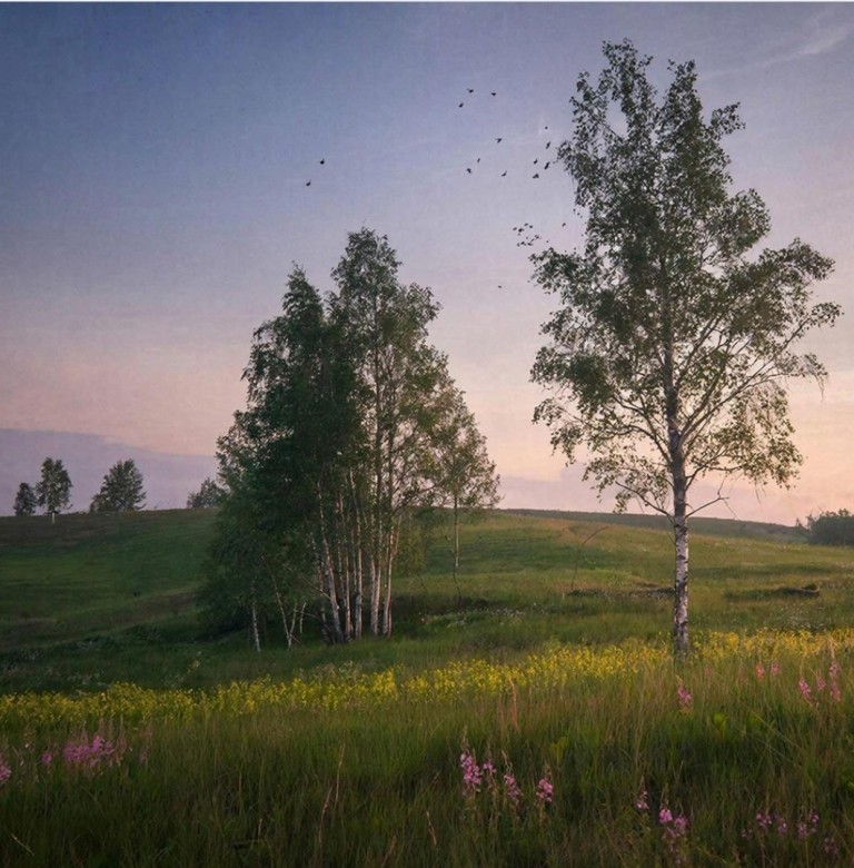 "Колыбельная памяти"