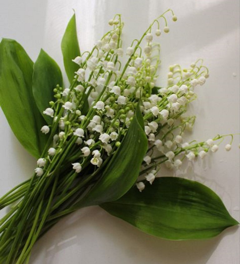 Ландышей букет