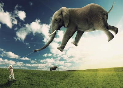 Слон и Цыпа