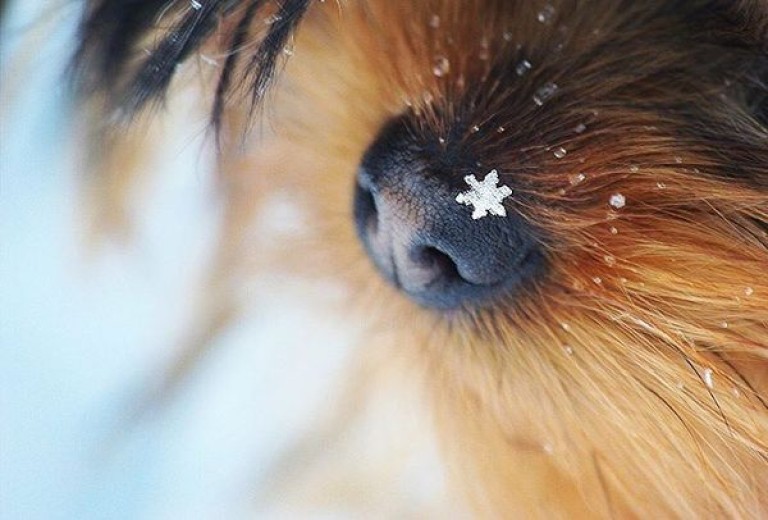 ПРО НАДЕЖДУ