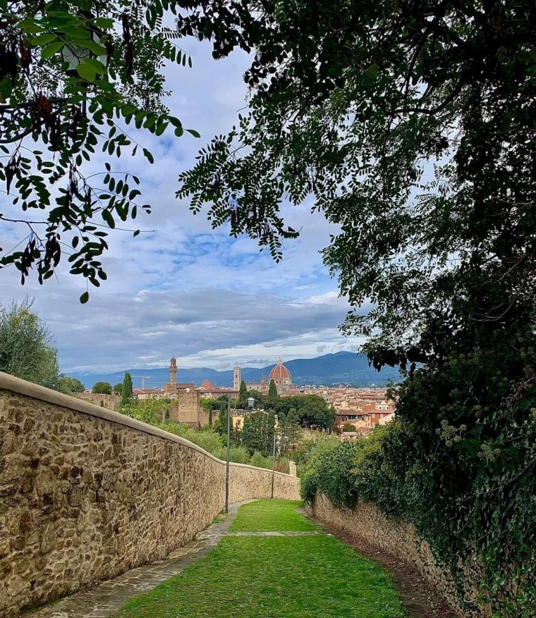 Зелень Тосканы