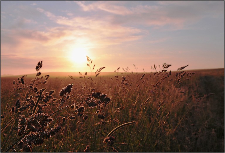 Небо, я твой