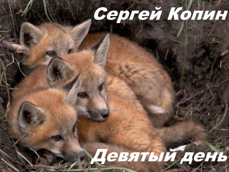 Девятый день