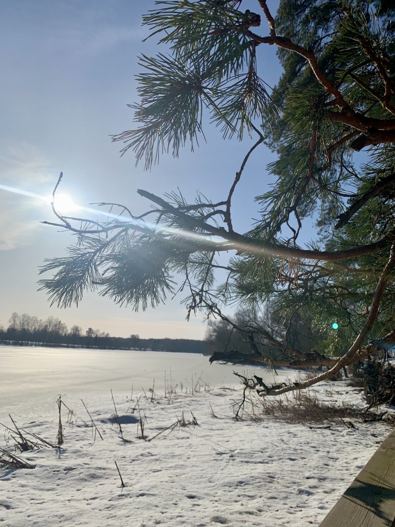 Ты лети, любовь